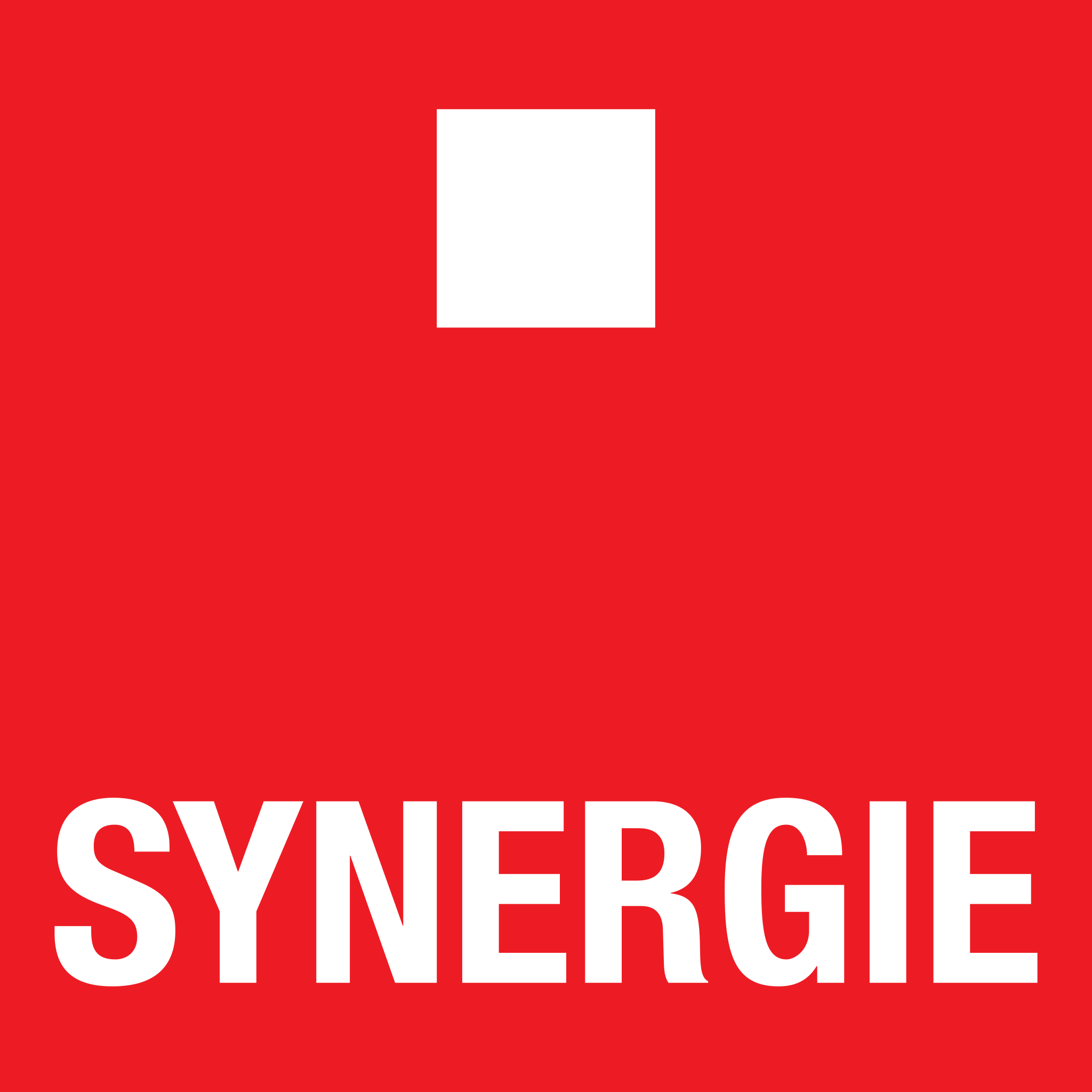 Synergie Logo